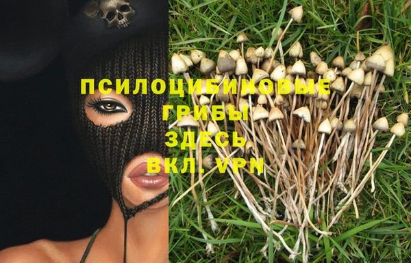 MDMA Premium VHQ Снежногорск