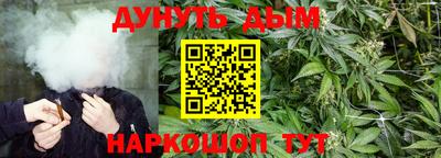не бодяженный Гатчина