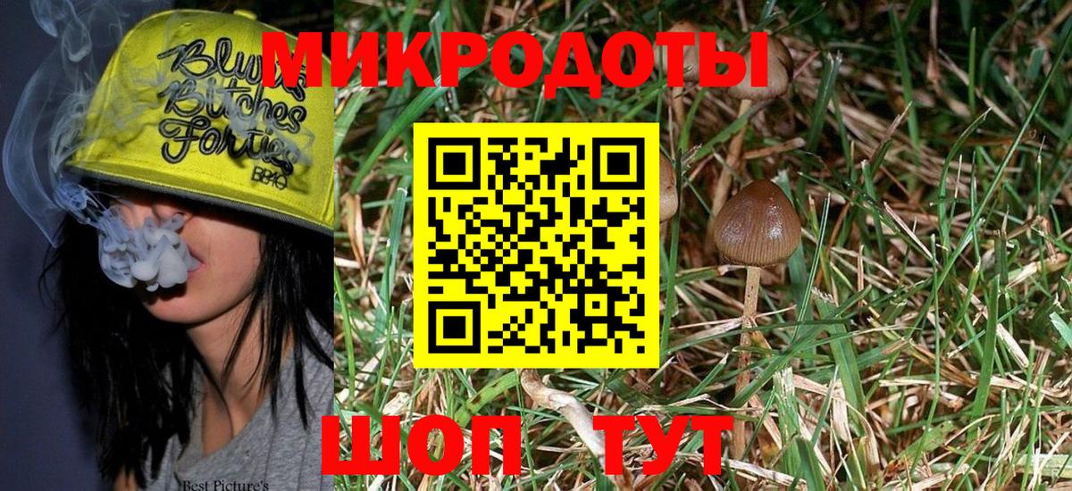 Иваново  Галлюциногенные грибы Cubensis  Галлюциногенные грибы Psilocybine cubensis  Вход с VPN 