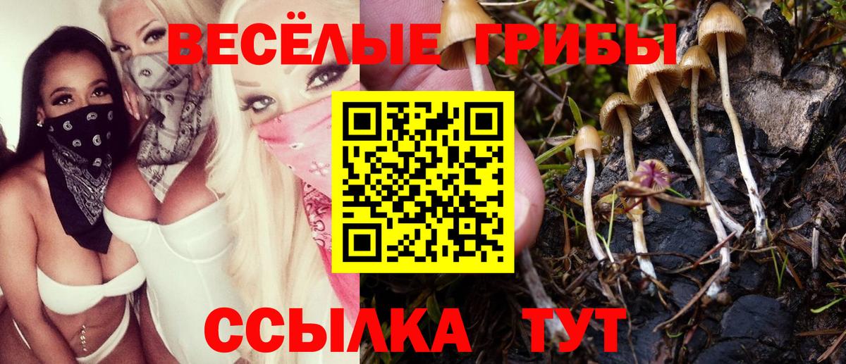 Псилоцибиновые грибы мухоморы Иваново
