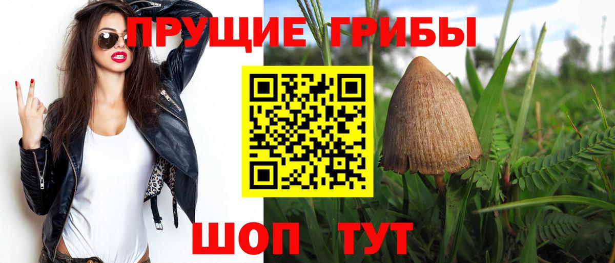 Галлюциногенные грибы Psilocybe Иваново