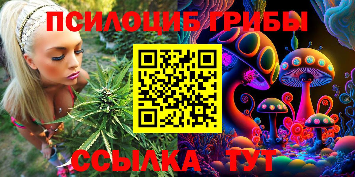 Псилоцибиновые грибы Magic Shrooms  Иваново 