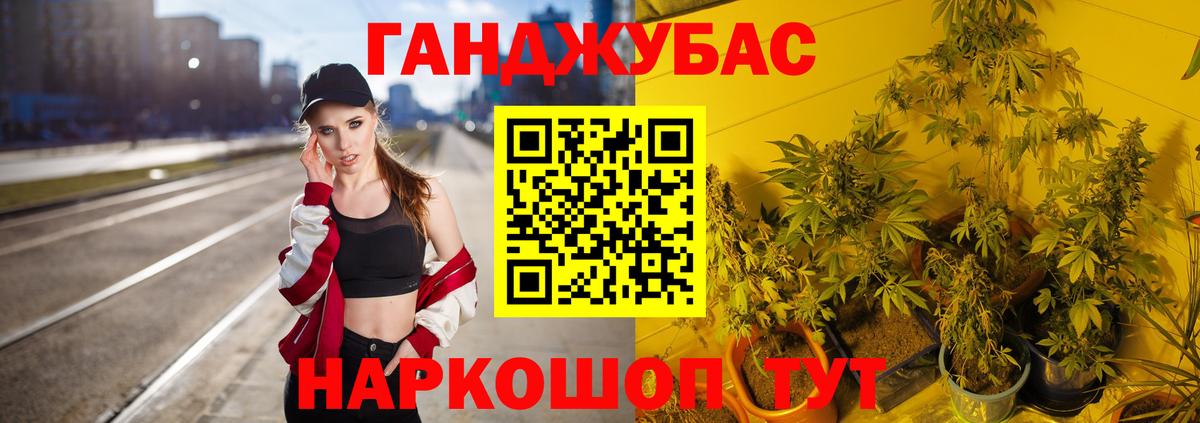 Бошки марихуана ГИДРОПОН  Конопля VHQ  Иваново  Канабис план 